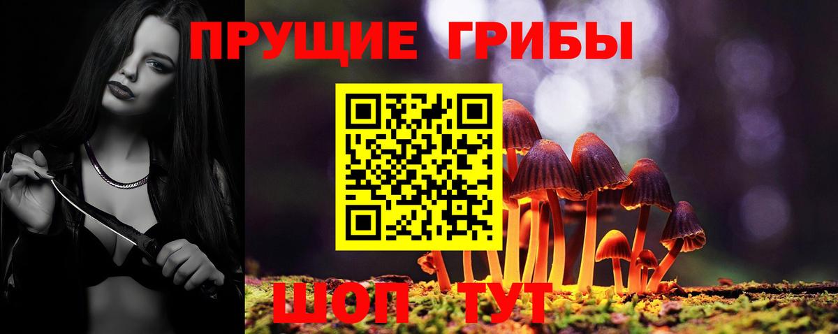 где продают   Галлюциногенные грибы MAGIC MUSHROOMS  Ульяновск  Вход с VPN  Псилоцибиновые грибы Cubensis 